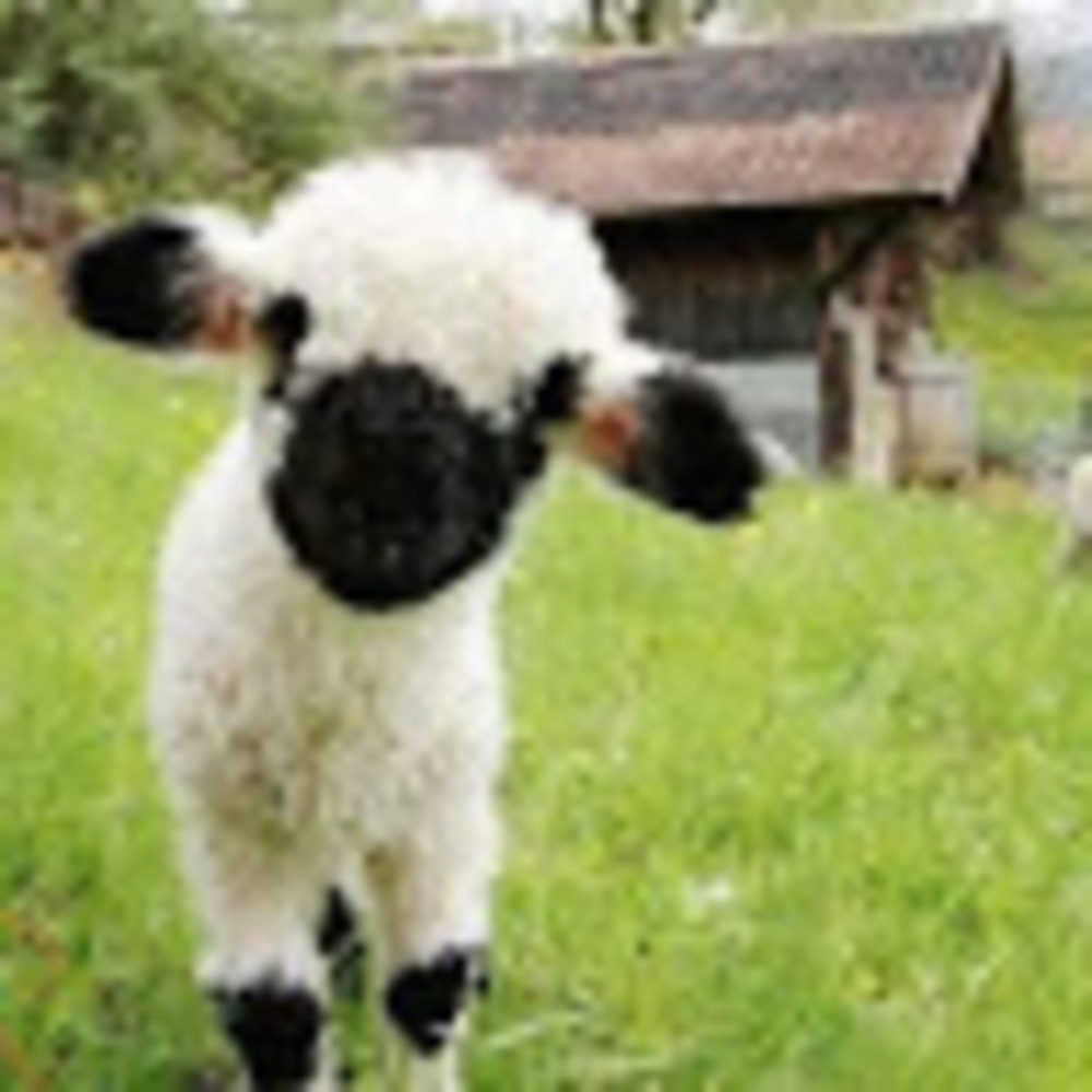 TAKING A BREAK FOR NOW My Resale Shoppe